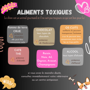 Aliments toxiques pour votre chien